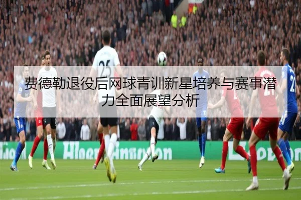 费德勒退役后网球青训新星培养与赛事潜力全面展望分析